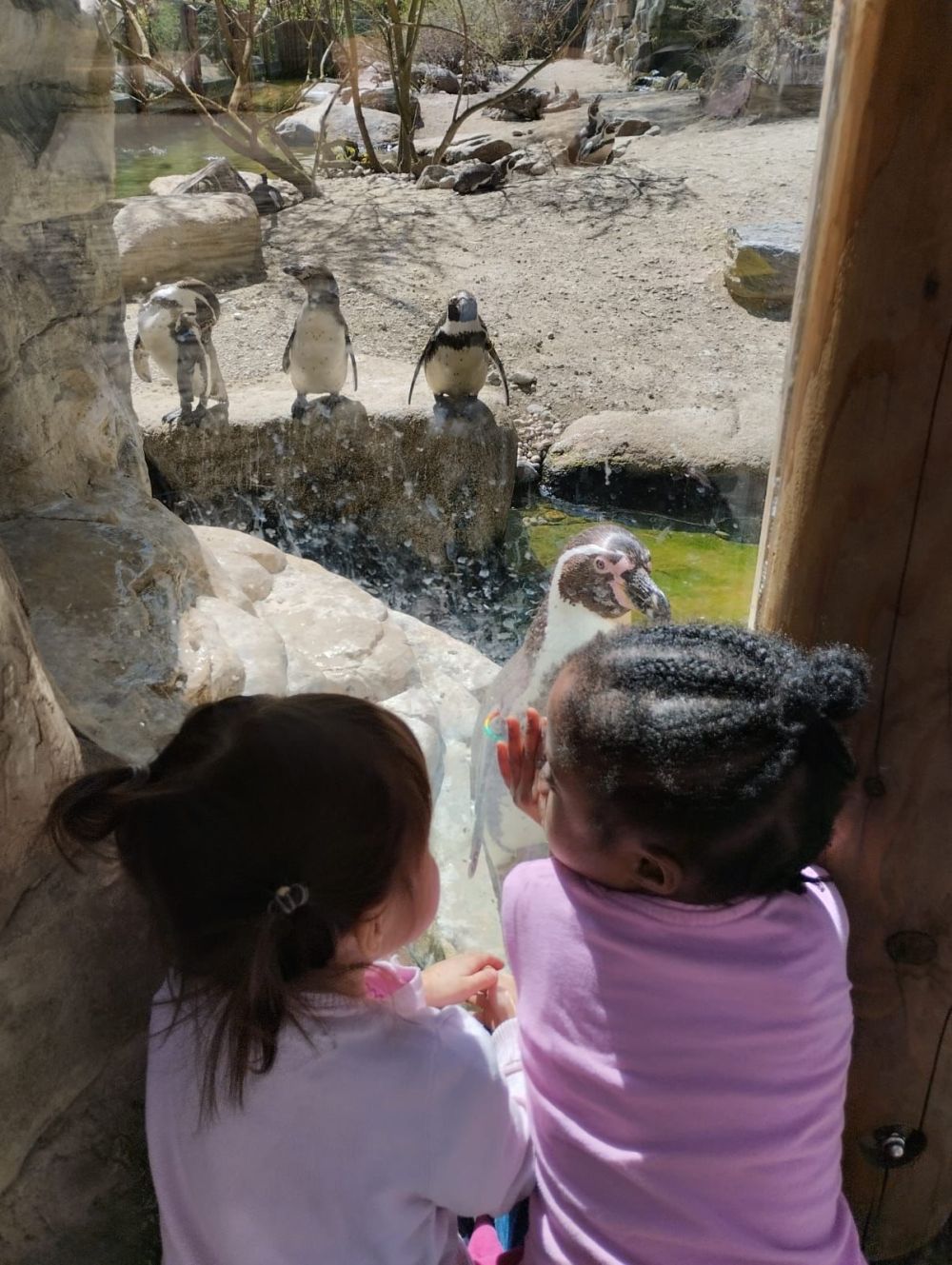 Tierpark Hellabrunn
